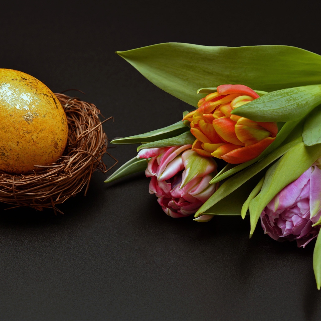 Крашеное яйцо с тюльпаном на черном фоне на Пасху