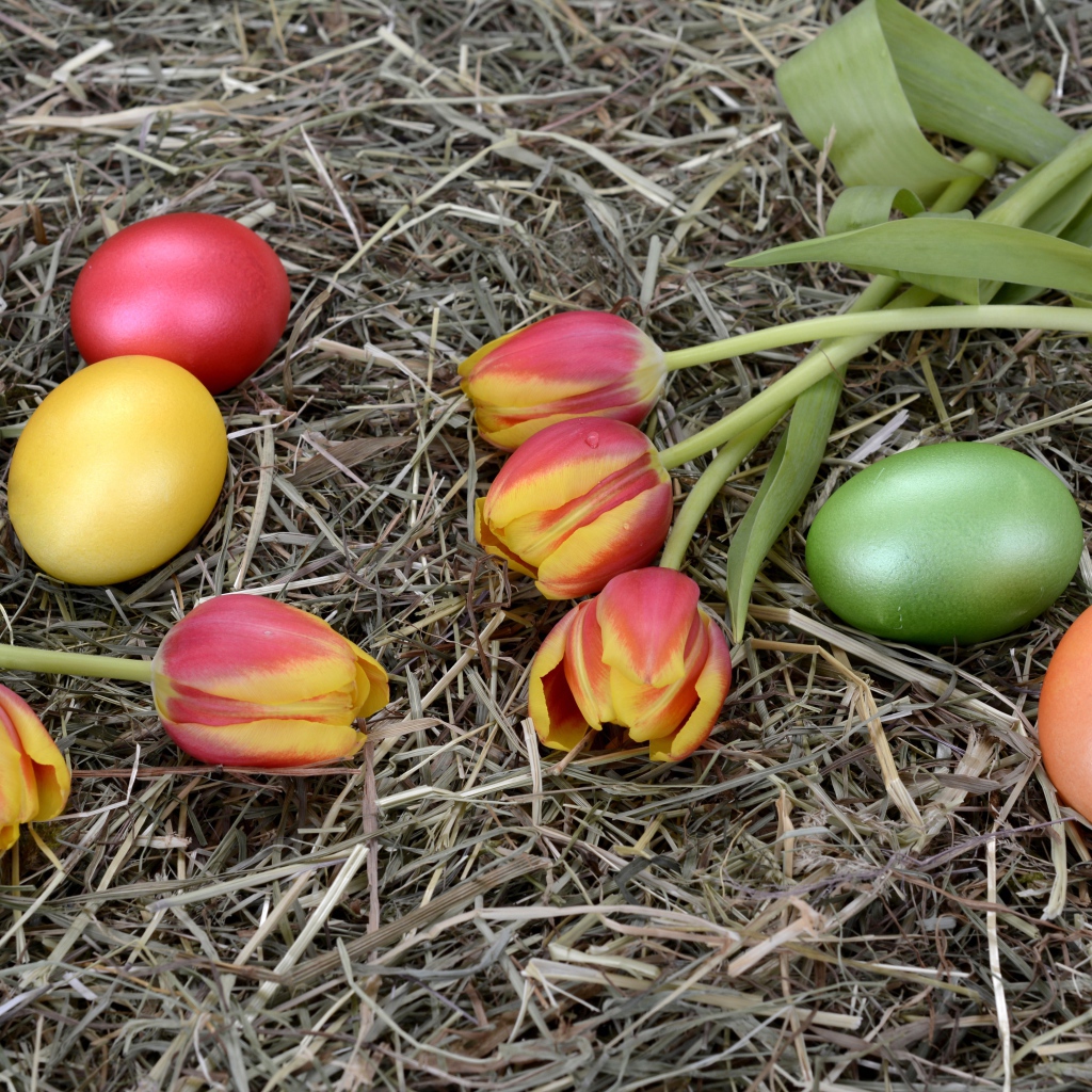 Крашеные яйца с тюльпанами на сене на праздник Пасха 2021