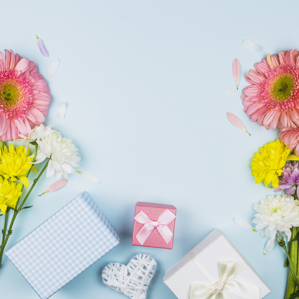 Цветы герберы и подарки на голубом фоне, шаблон поздравительной открытки на 8 марта