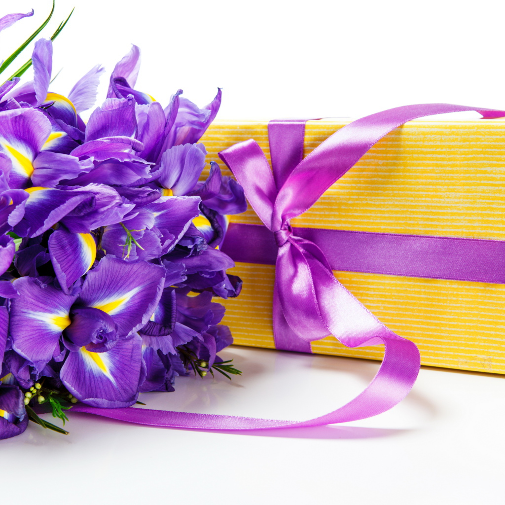 Цветы ириса и подарок на белом фоне на 8 марта