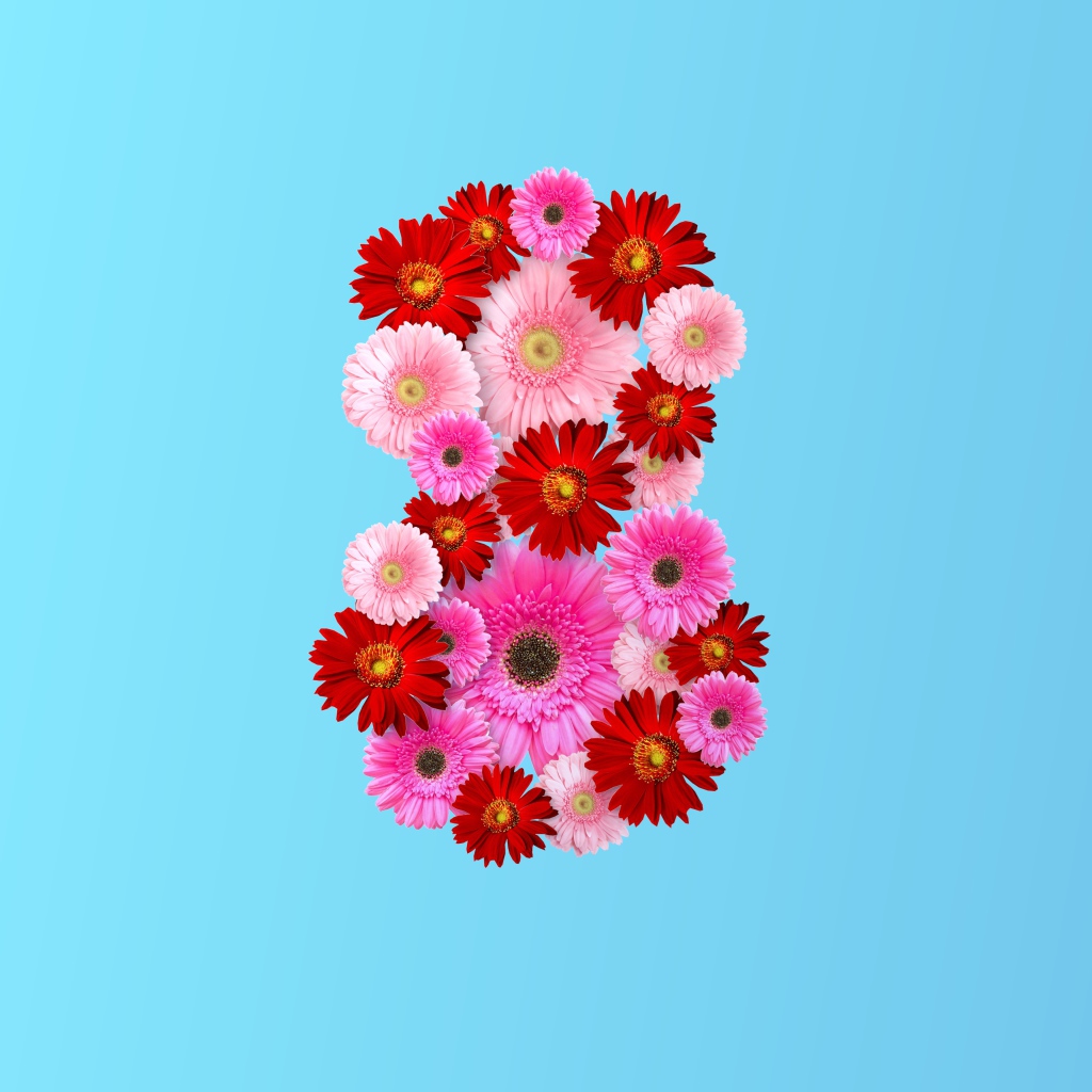 Цифра 8 из цветов герберы на голубом фоне