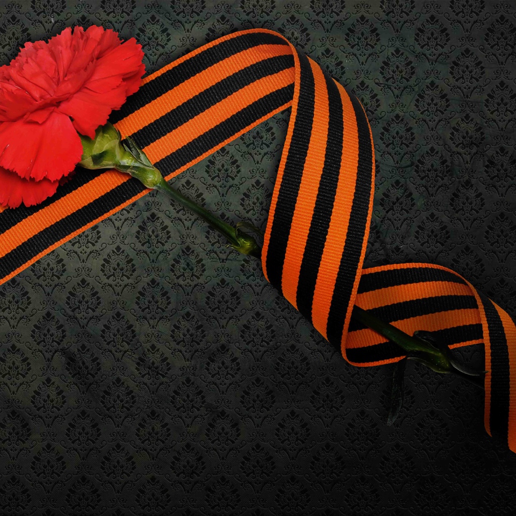 Георгиевская ленточка и красная гвоздика на 9 мая день Победы