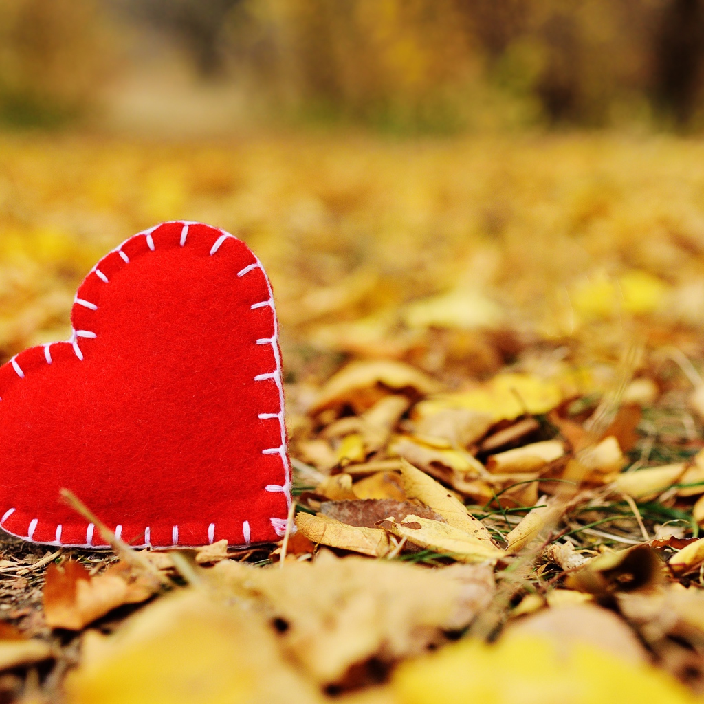 Красное сердце из ткани лежит на сухой листве