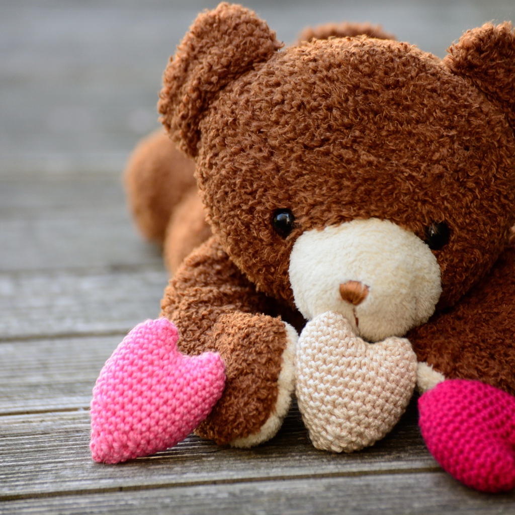 Teddy bear with knitted hearts
