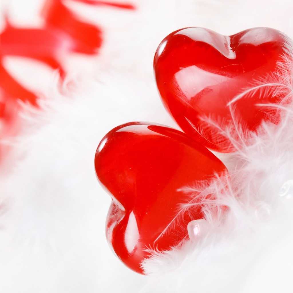 Два красных сердца с белым перьями