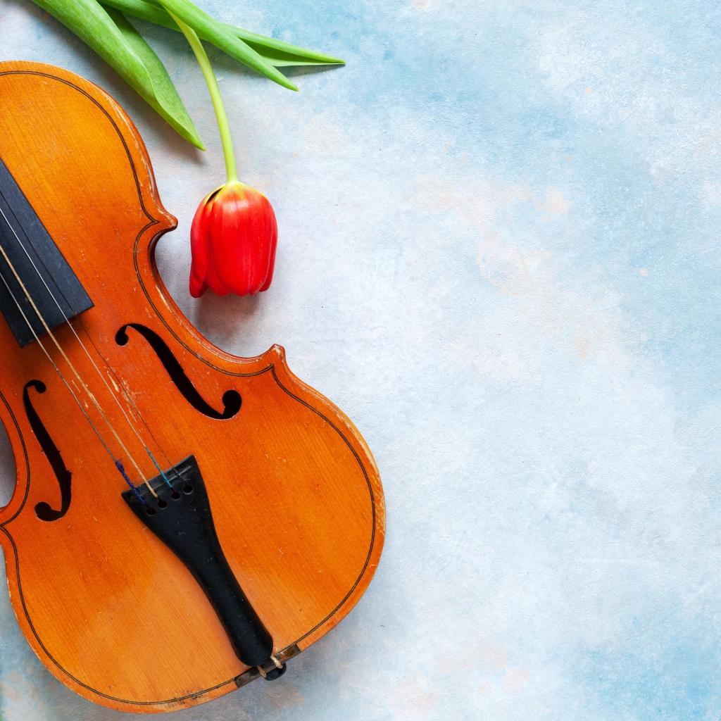 Скрипка с тюльпанами на голубом фоне