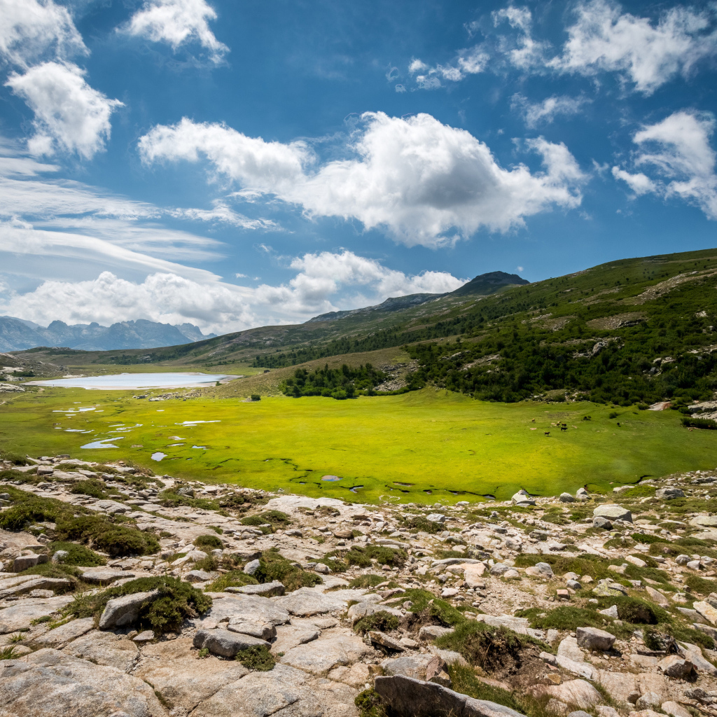 Красивое небо над зеленым лугом в горах 