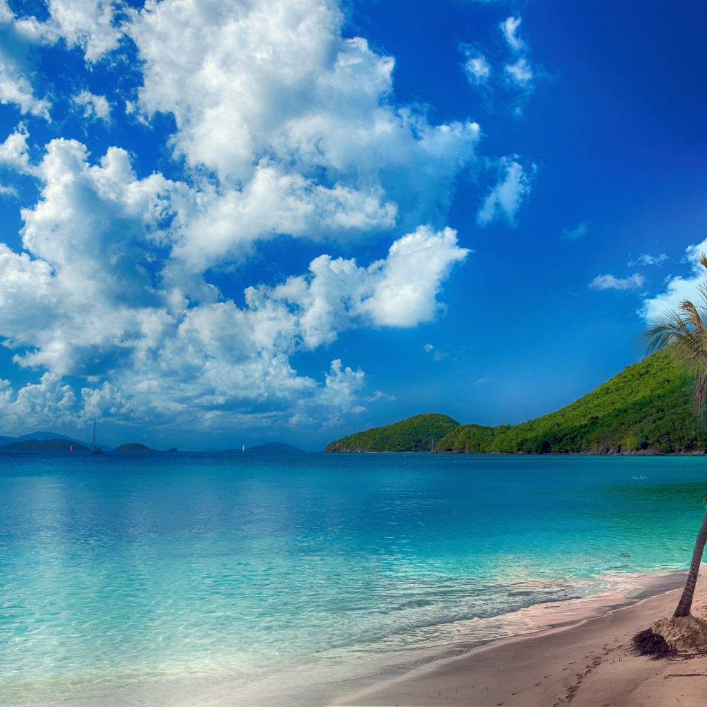 Красивый берег океана с чистой водой под голубым небом