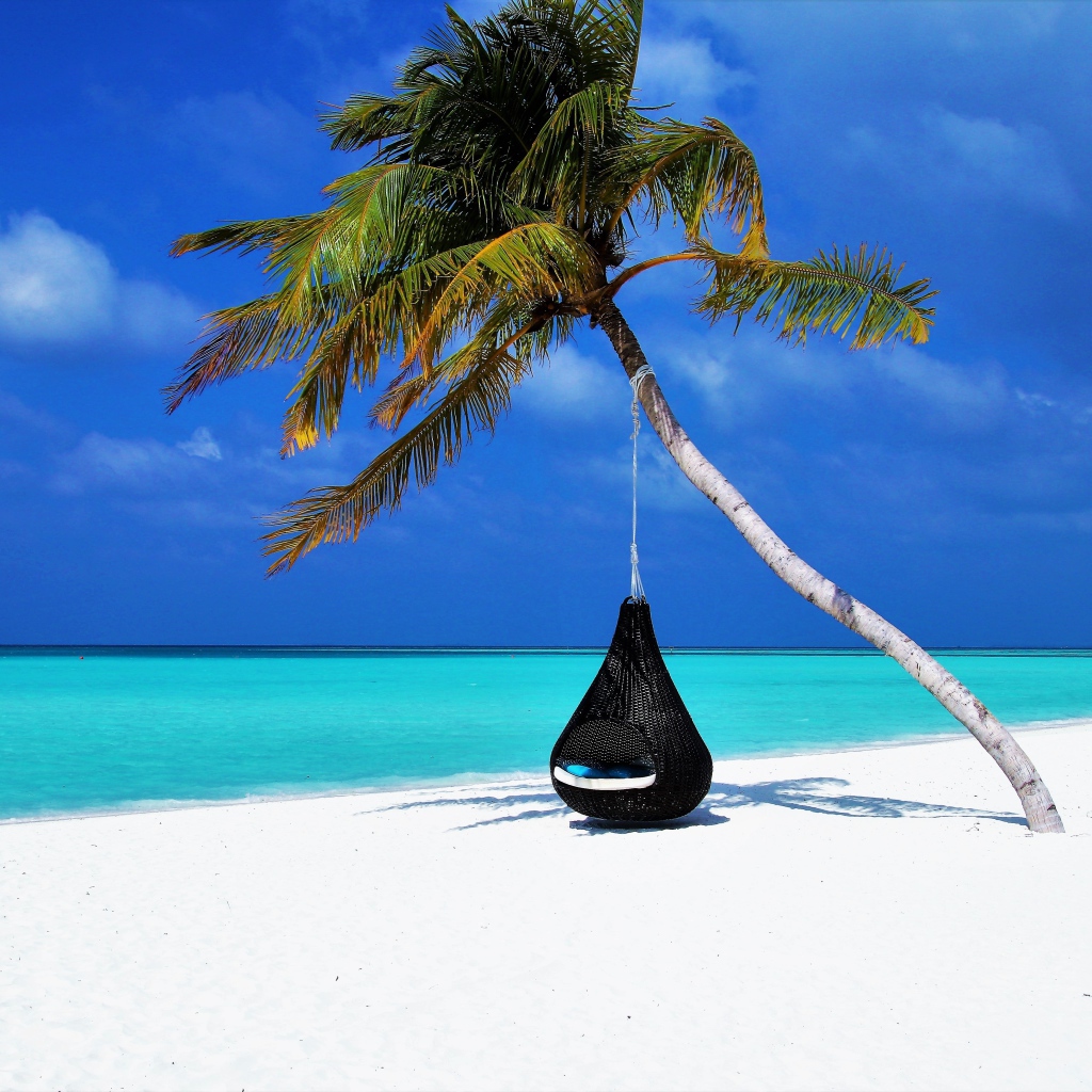 Черное кресло на пальме на тропическом пляже с белыми песком