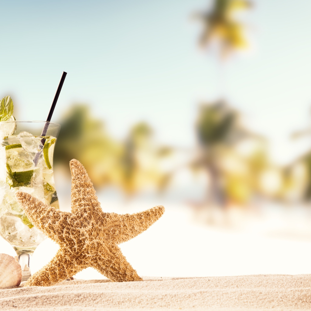 Морская звезда и бокал мохито на песке летом