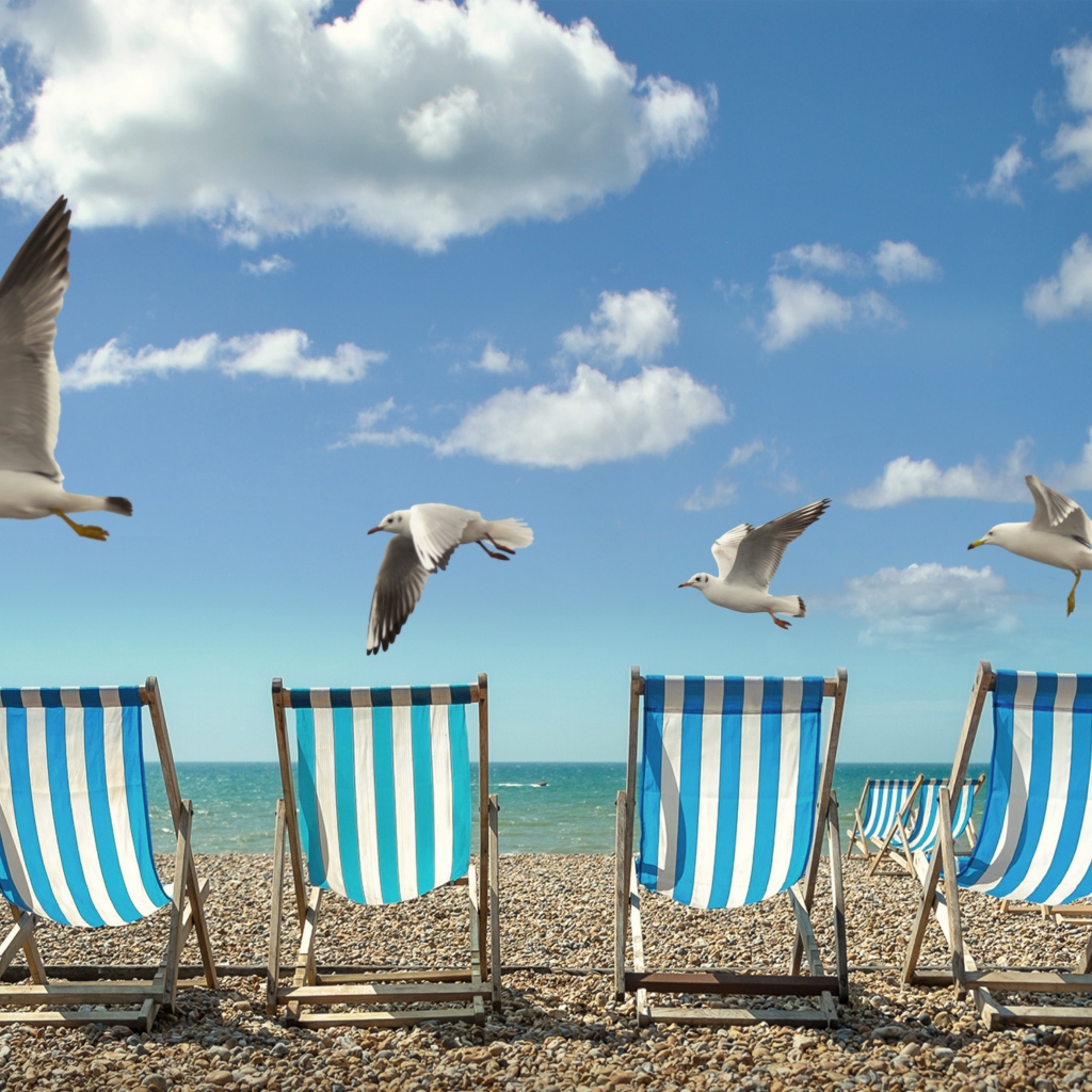 Шезлонги стоят на желтом песке у моря