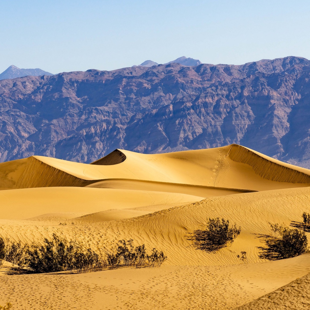 Красивые песчаные дюны у гор под голубым небом 