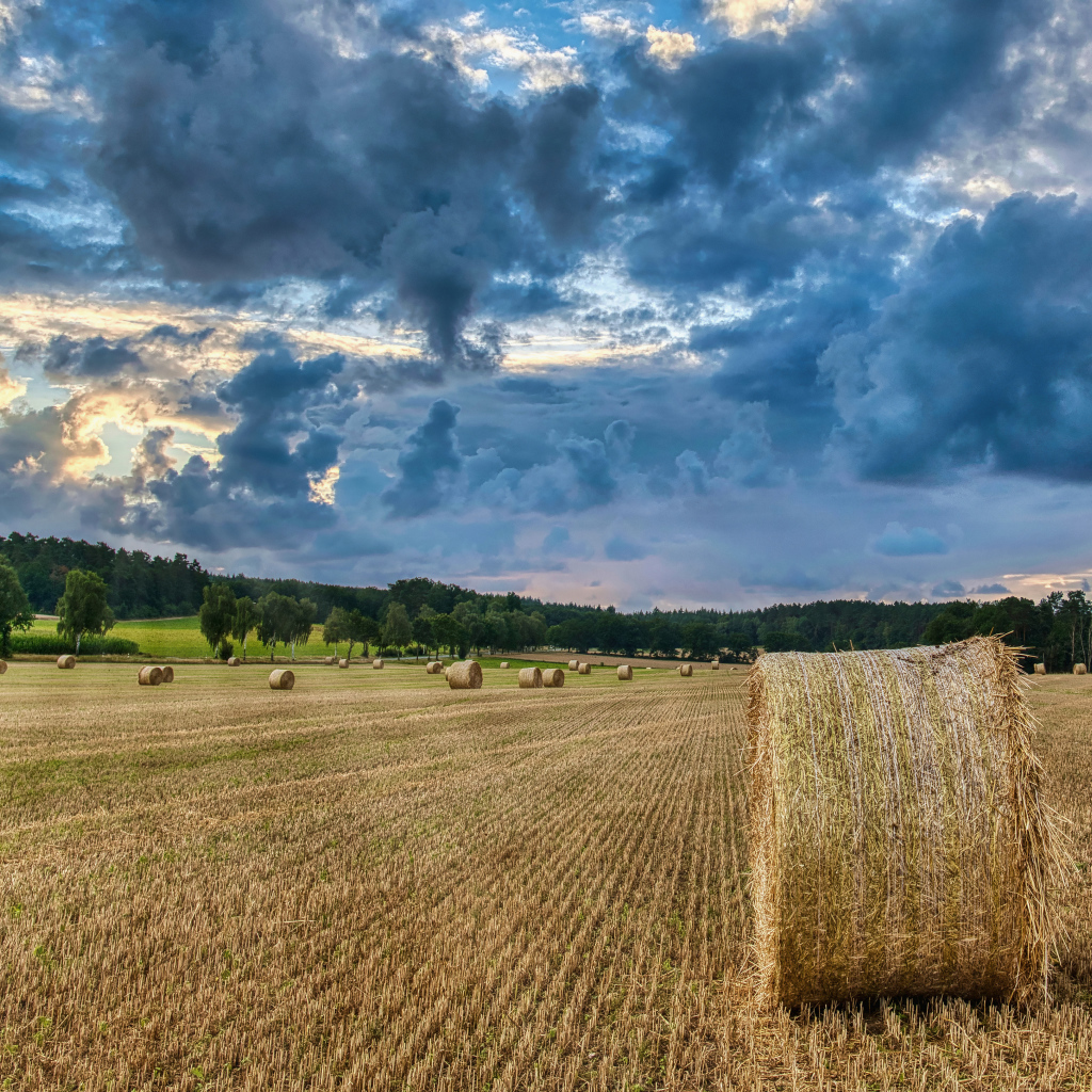 Сноп сена на поле под красивым грозовым небом 