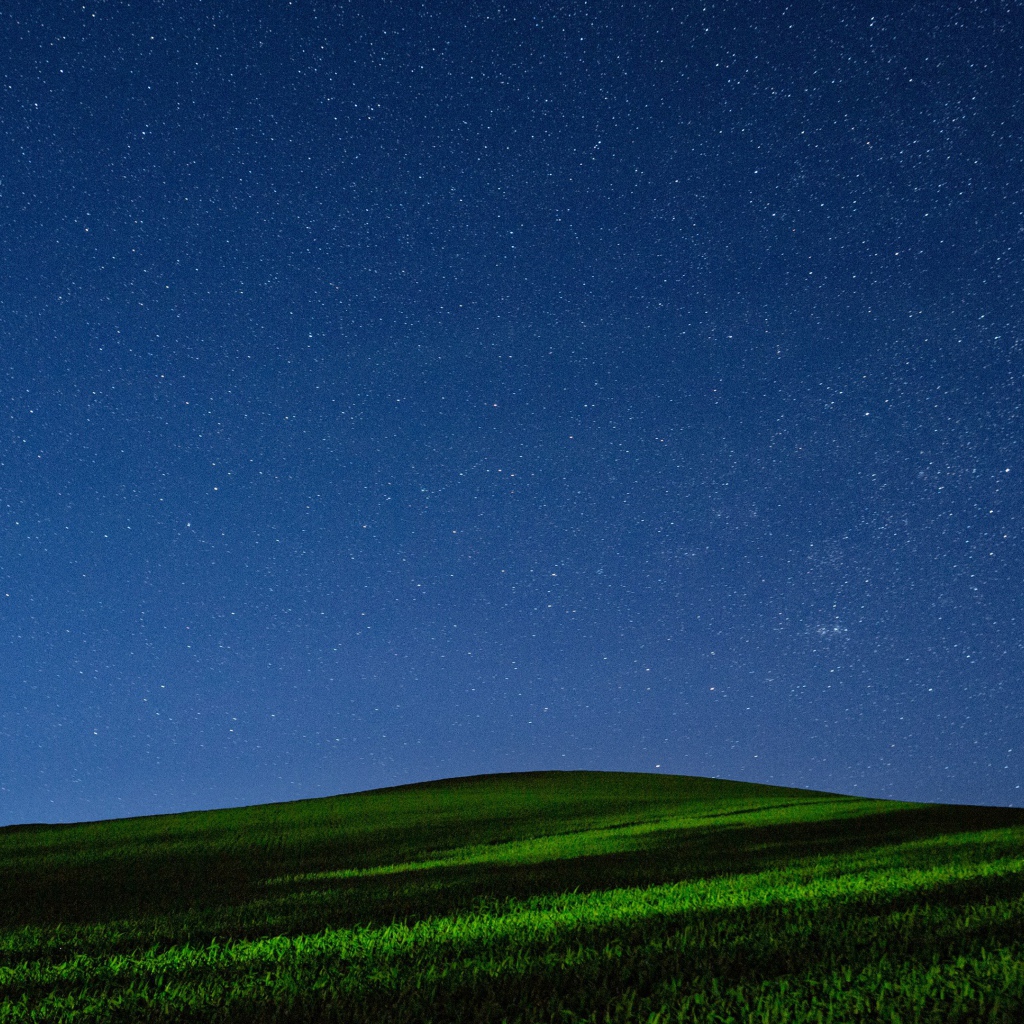 Красивое звездное ночное небо над зеленым полем