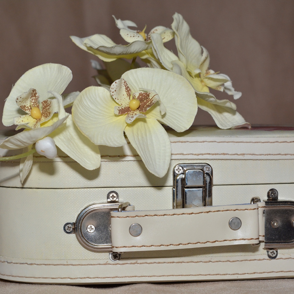 Ветка цветов орхидеи лежит на белом чемодане
