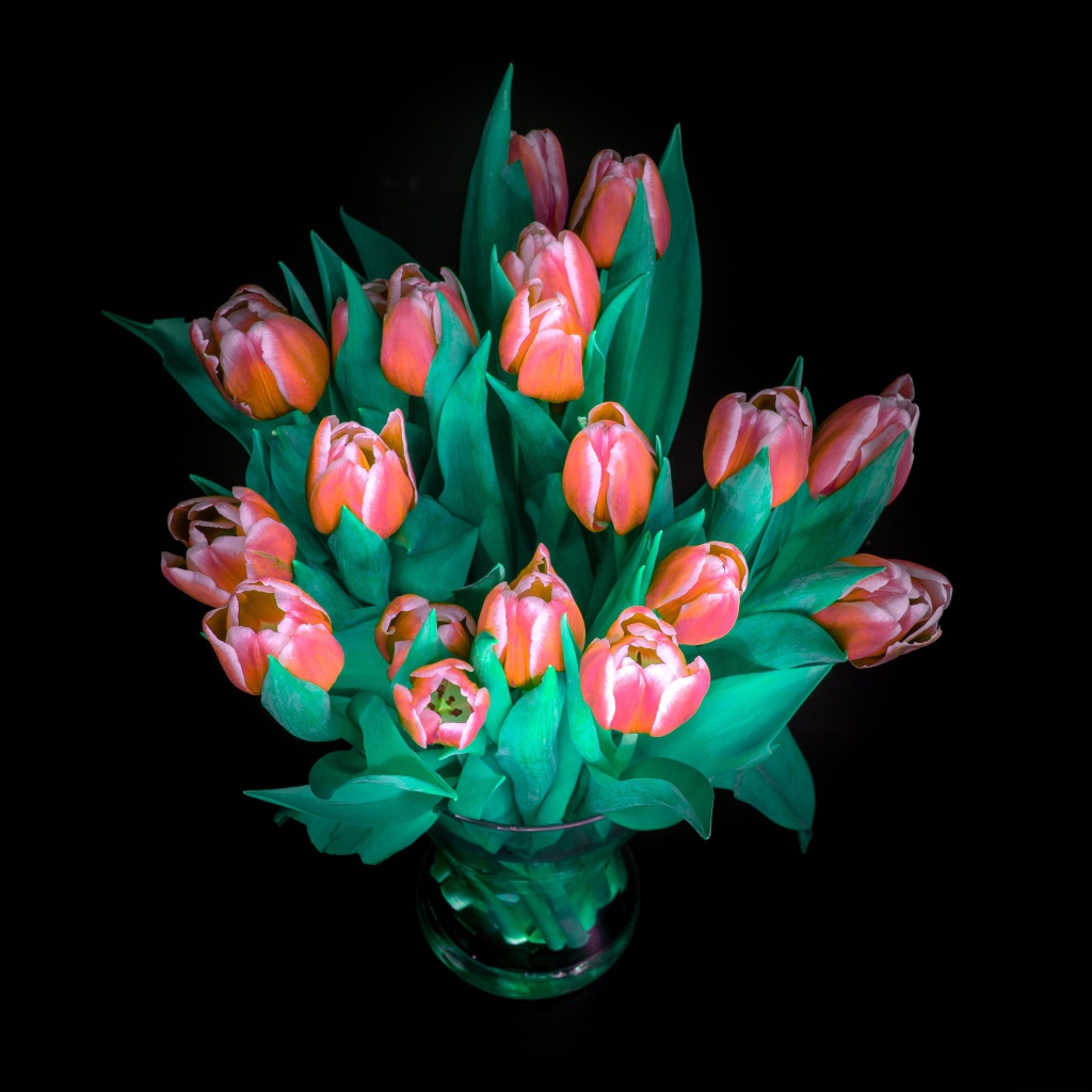 Красивый букет тюльпанов в вазе на черном фоне