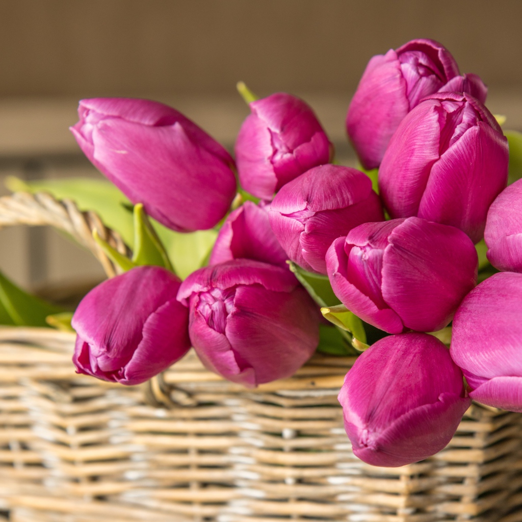 Букет красивых розовых тюльпанов в корзине на столе