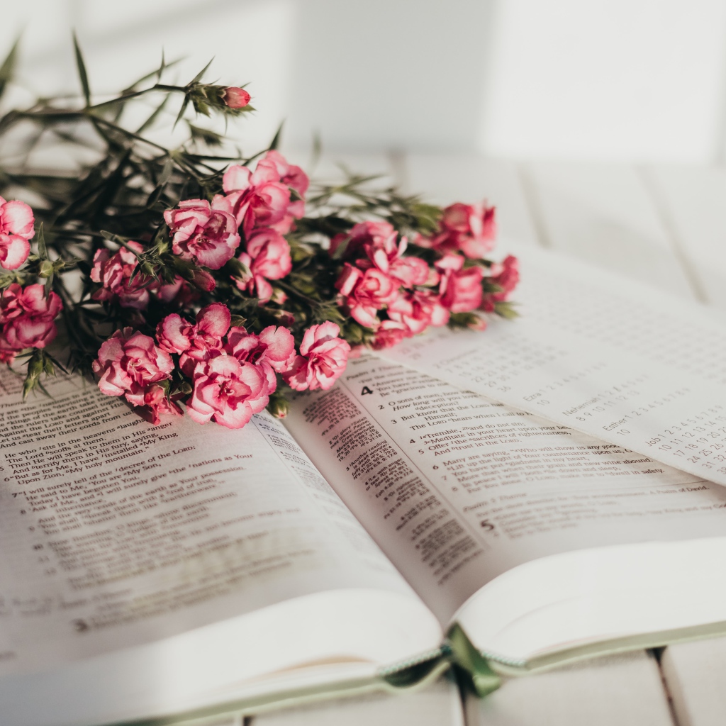 Букет розовых цветов гвоздики лежат на книге