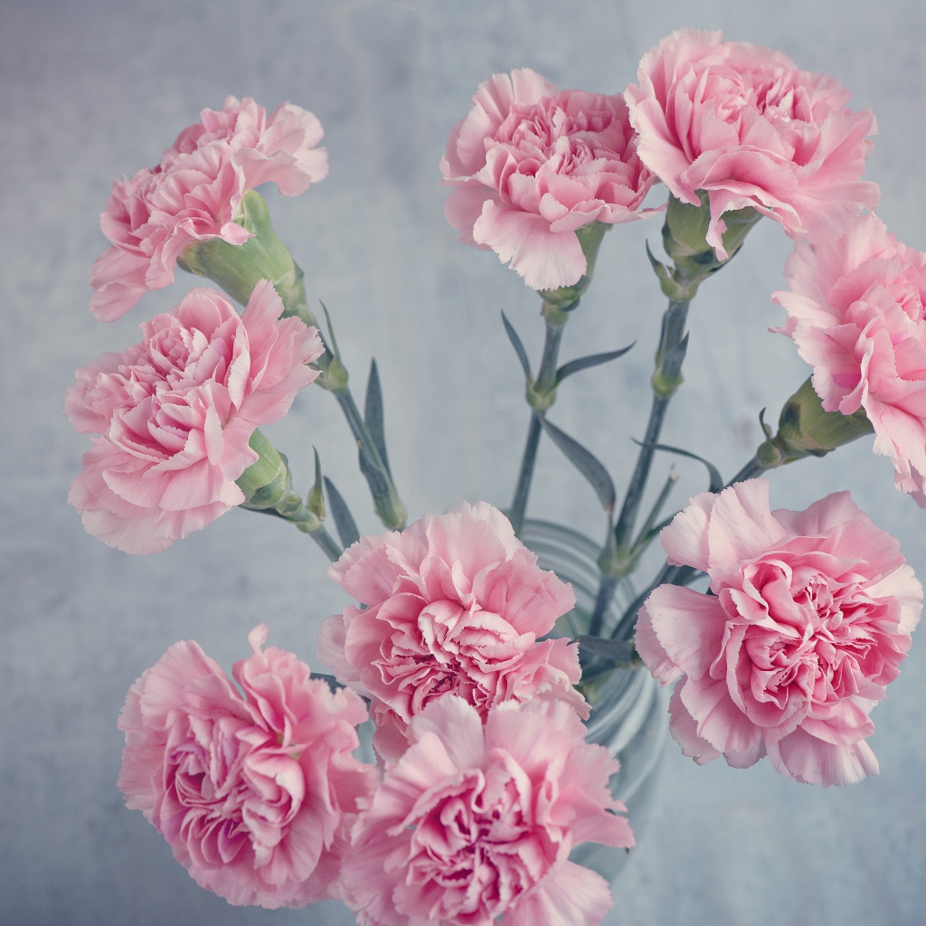 Букет розовых гвоздик в вазе на столе