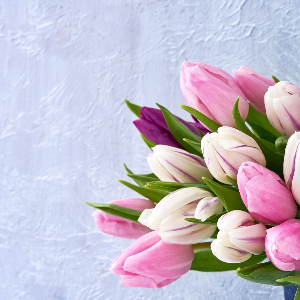 Букет розовых тюльпанов на фоне серой стены