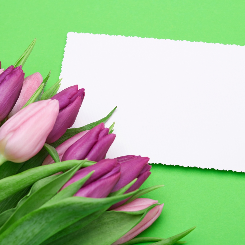 Букет розовых тюльпанов с белым листом бумаги на зеленом фоне