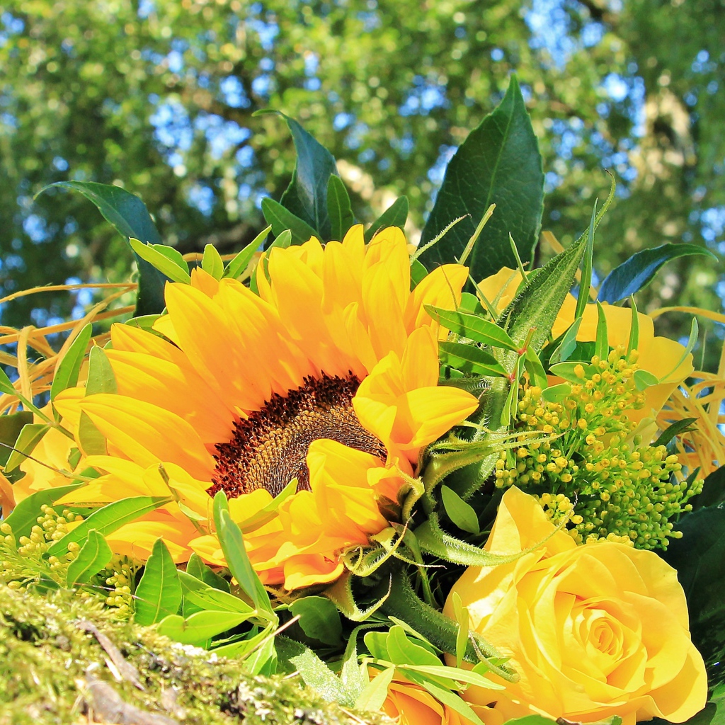Букет цветов подсолнуха и желтой розы