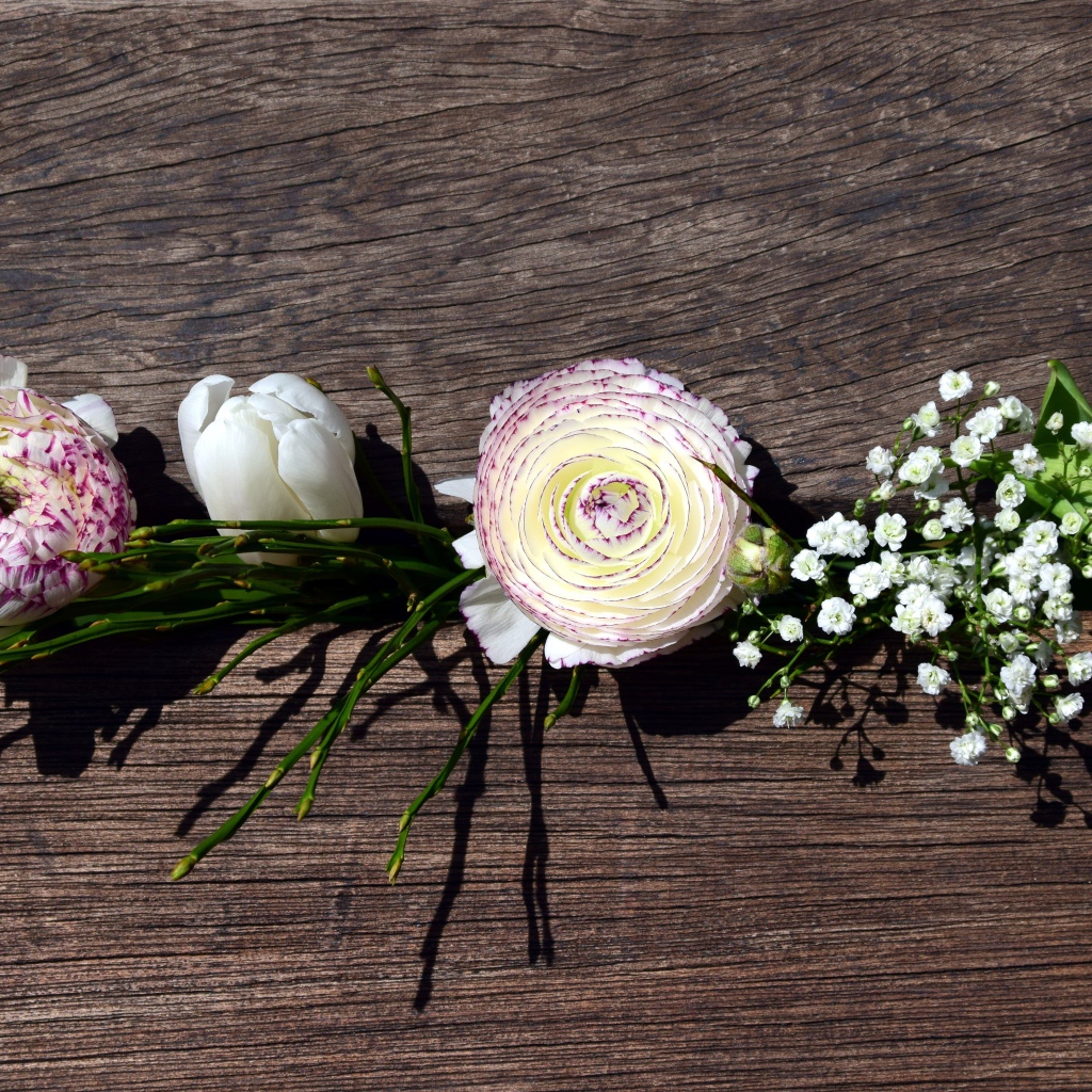 Цветы лютика, тюльпана и гипсофилы в ящике