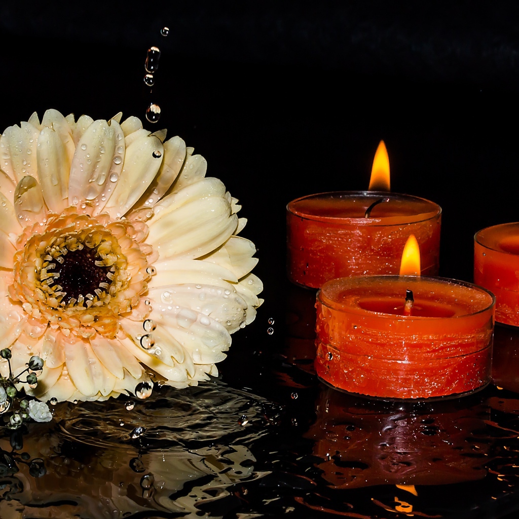 Кремовая гербера со свечами на мокром столе