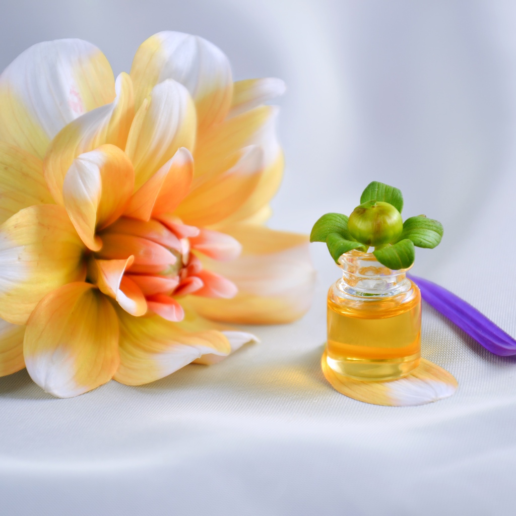 Оранжевый цветок георгина с эфирным маслом на столе