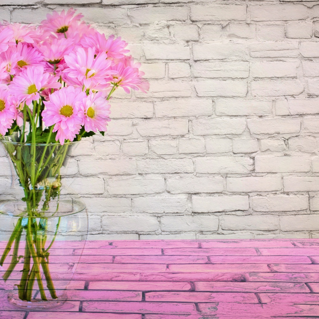 Розовые цветы хризантемы в стеклянной вазе на фоне стены