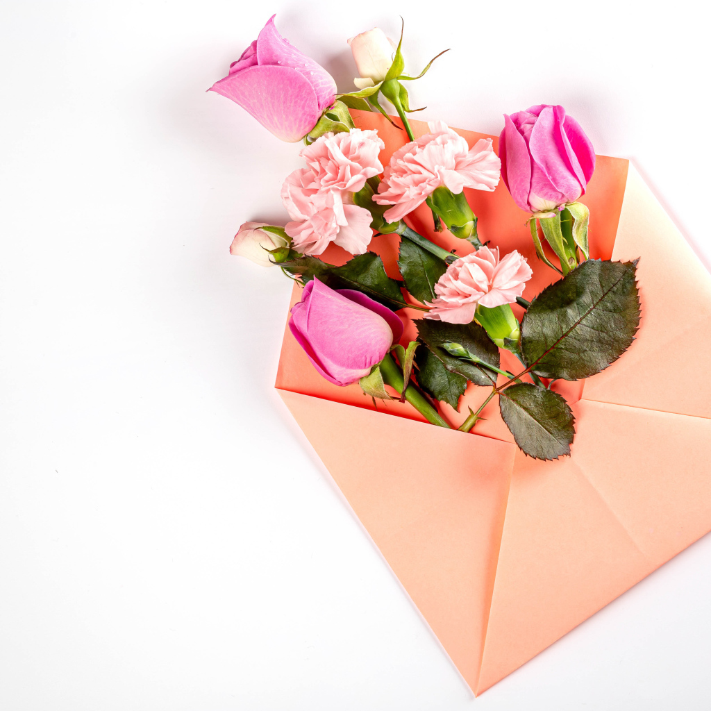 Розовый конверт с цветами  розы и гвоздики на белом фоне