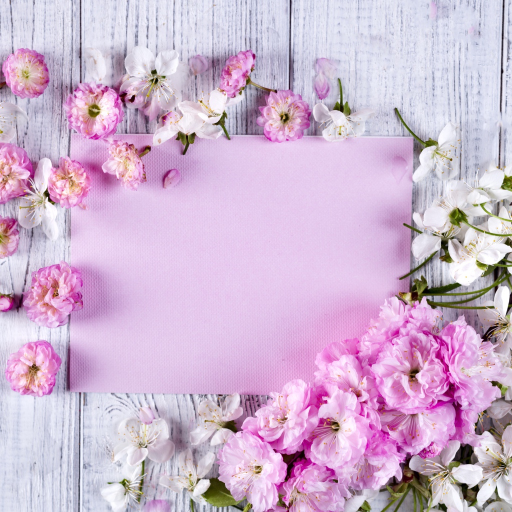 Розовые цветы луизеания и цветы вишни на столе с листом