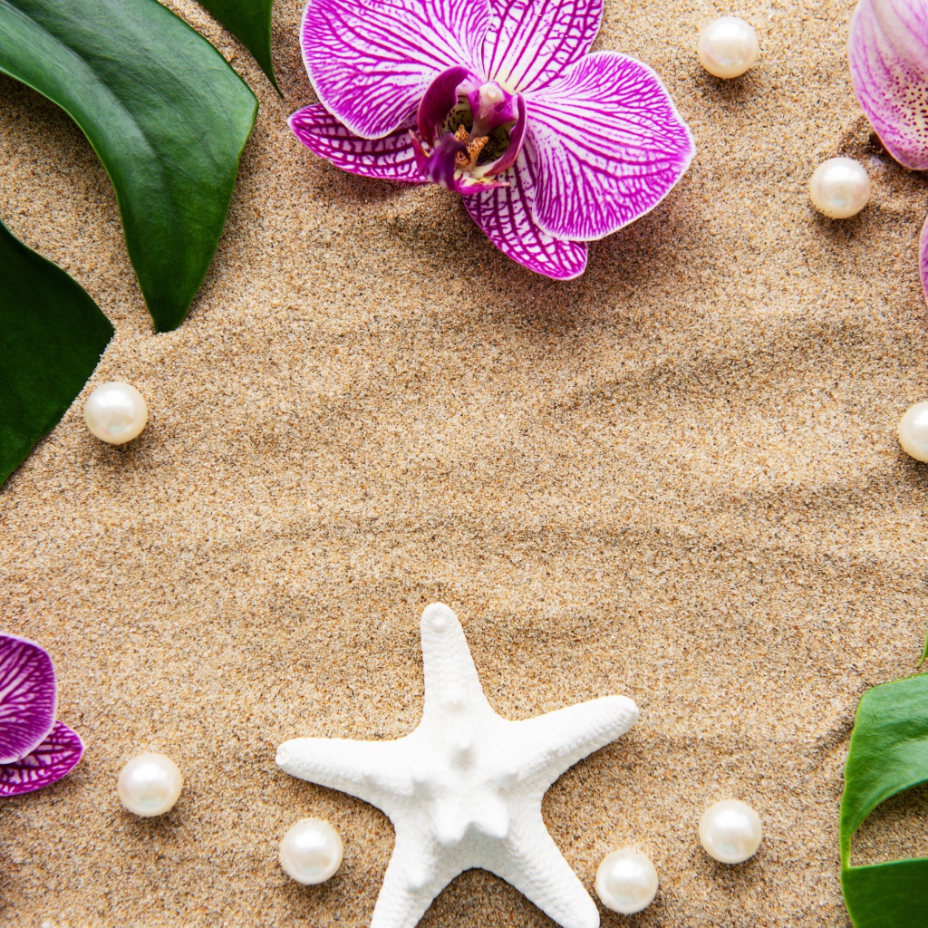 Розовые цветы орхидеи на песке с морской звездой