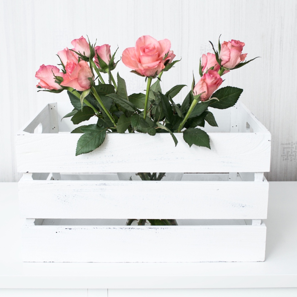 Розовые розы в белом деревянном ящике