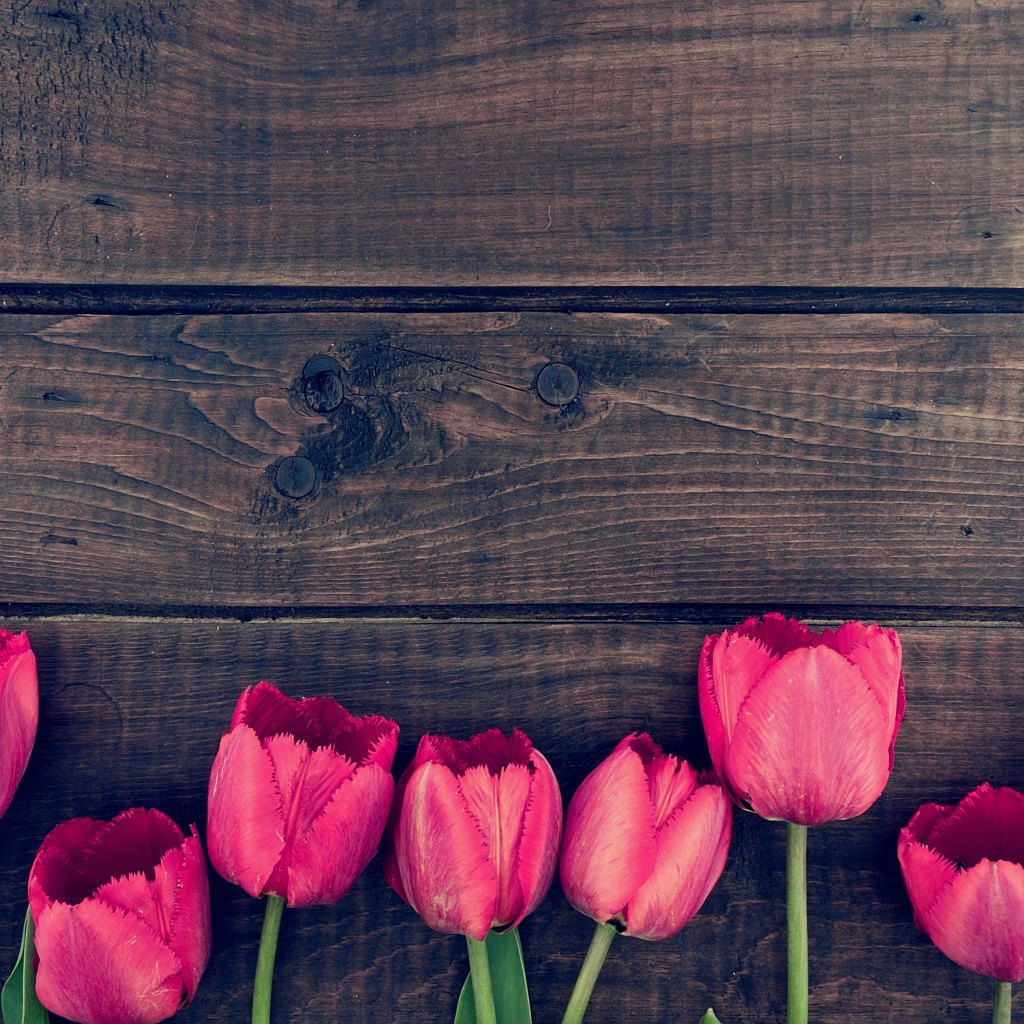 Розовые цветы тюльпана на деревянном столе 