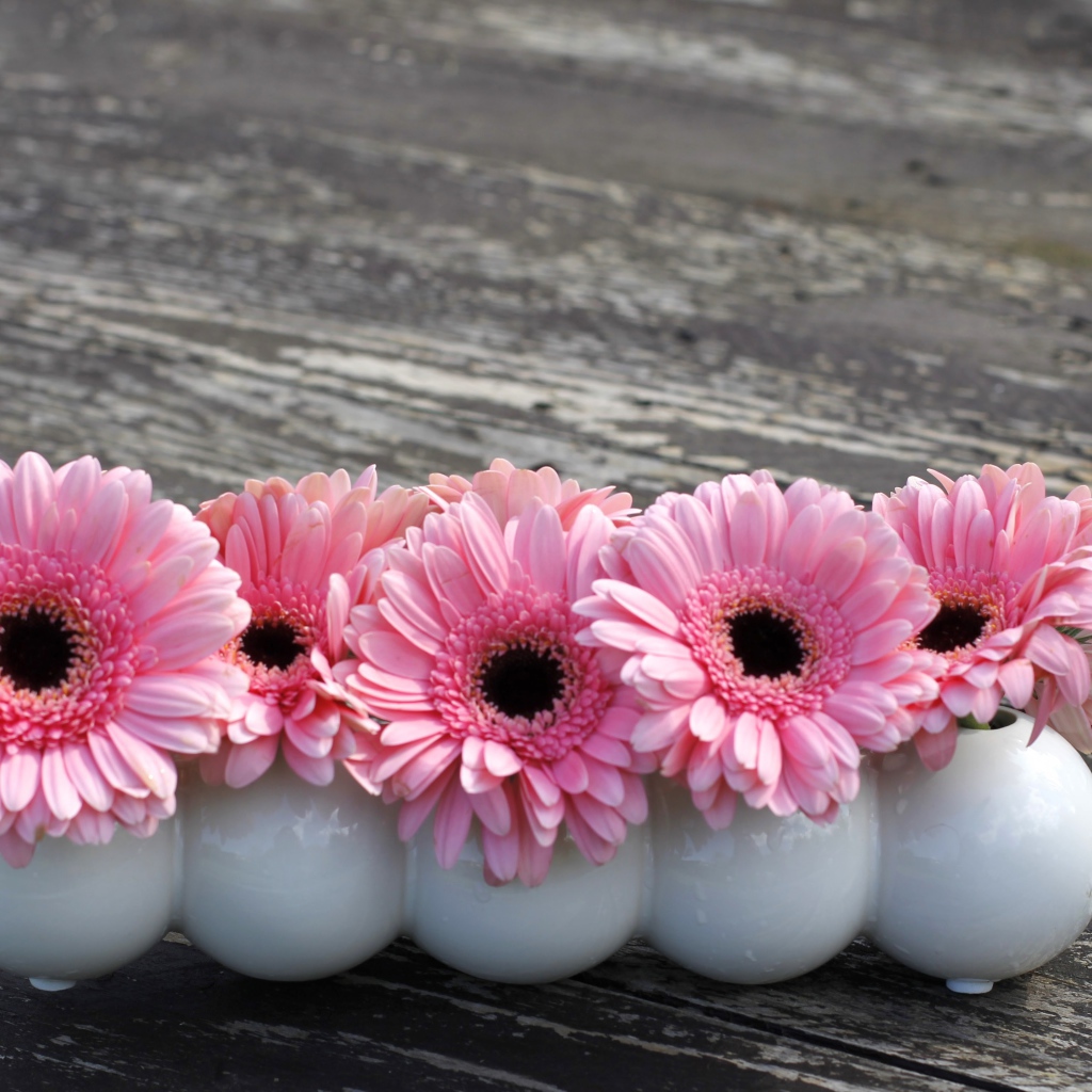 Маленькие розовые цветы герберы в белых вазах