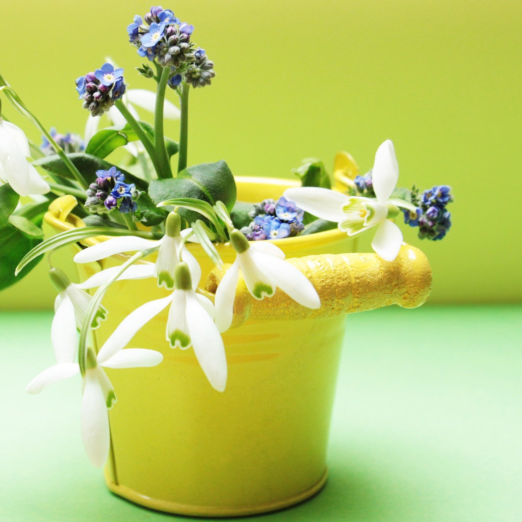 Маленькое желтое ведерко с весенними цветами