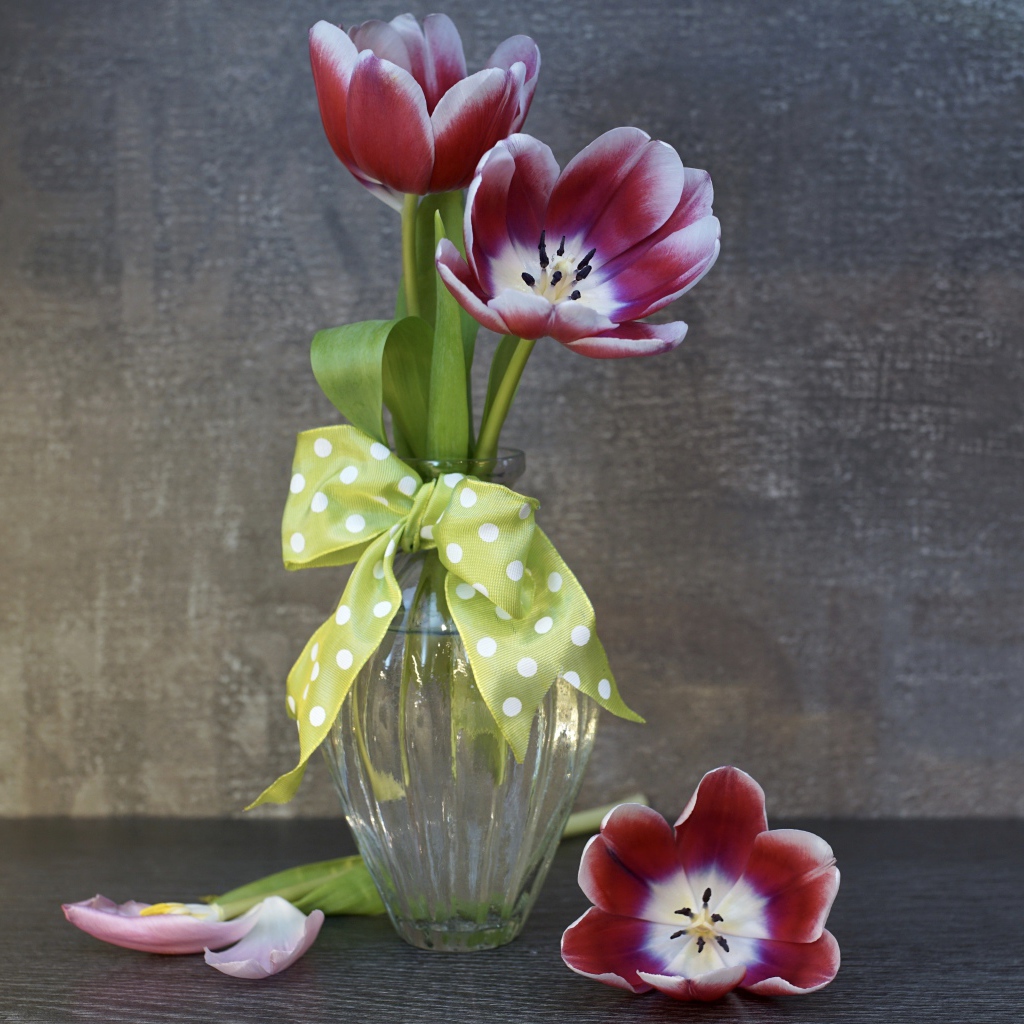 Три розовых цветка тюльпана в стеклянной вазе у стены