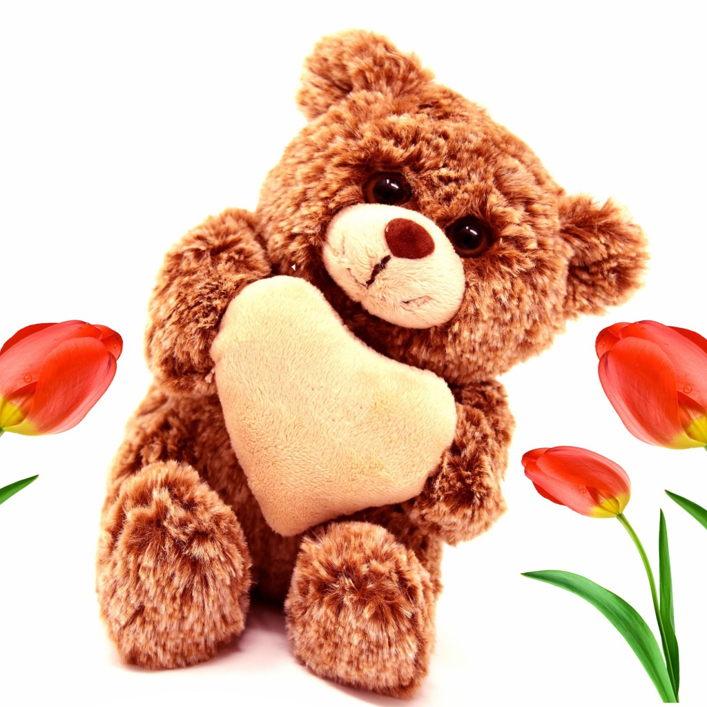 Игрушка медвежонок с красными тюльпанами на белом фоне