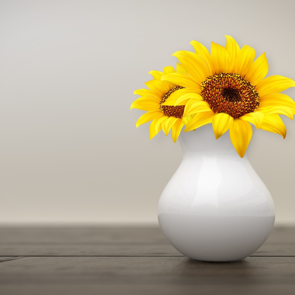 Два цветка подсолнуха в белой вазе на фоне стены