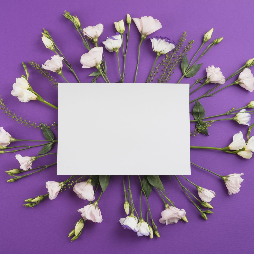 Белые цветы эустомы с белым листом на фиолетовом фоне