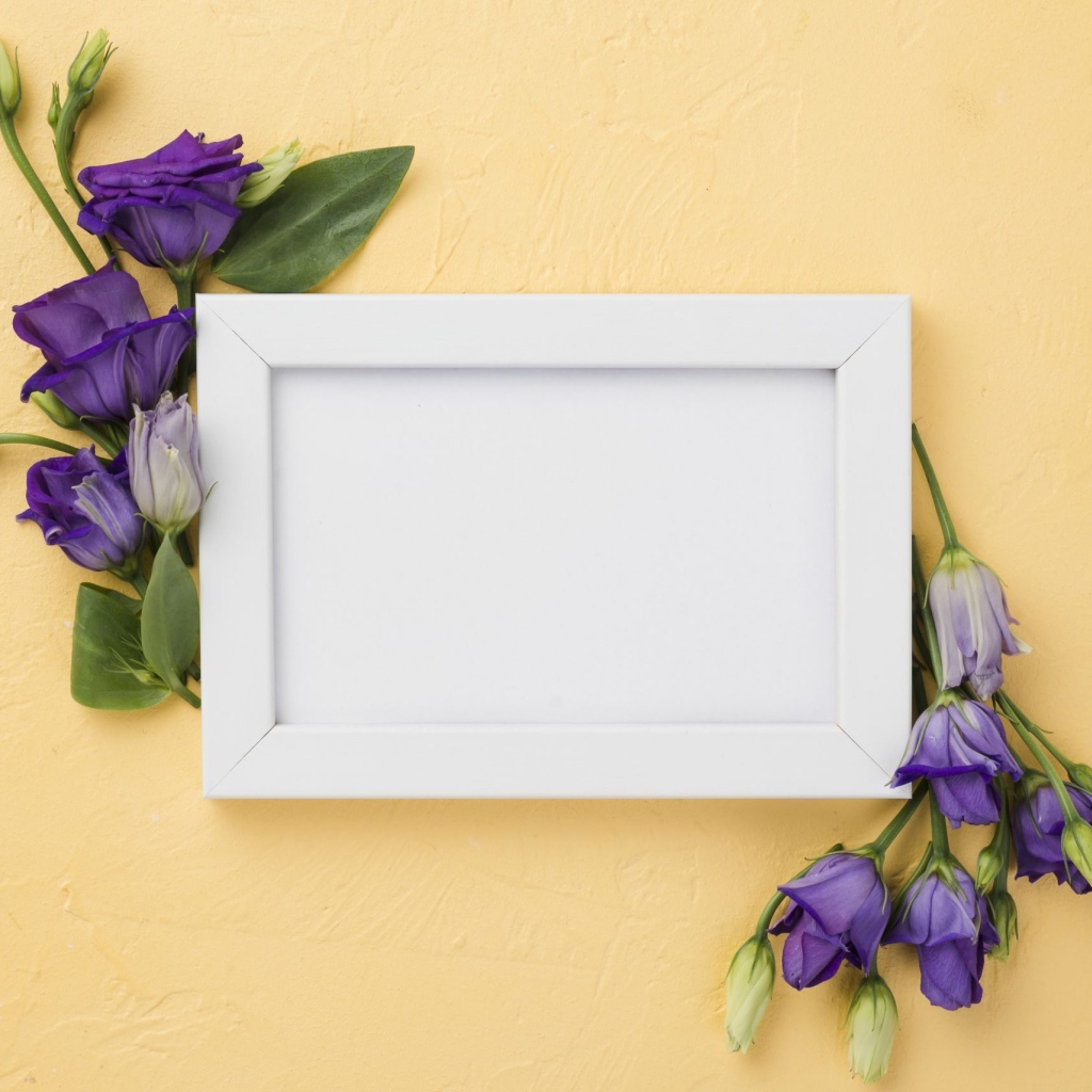 Белая рамка с фиолетовыми цветами эустома