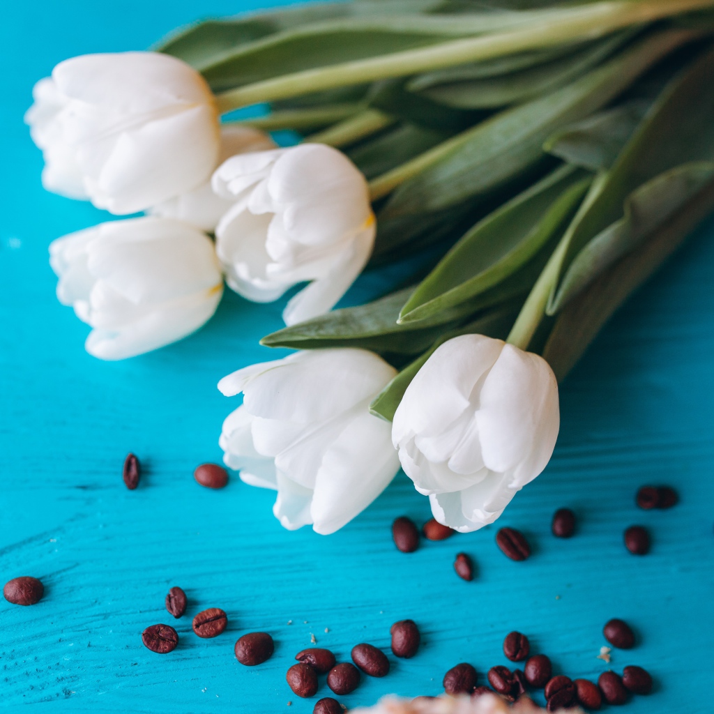 Белые тюльпаны на голубом столе с кофейными зернами