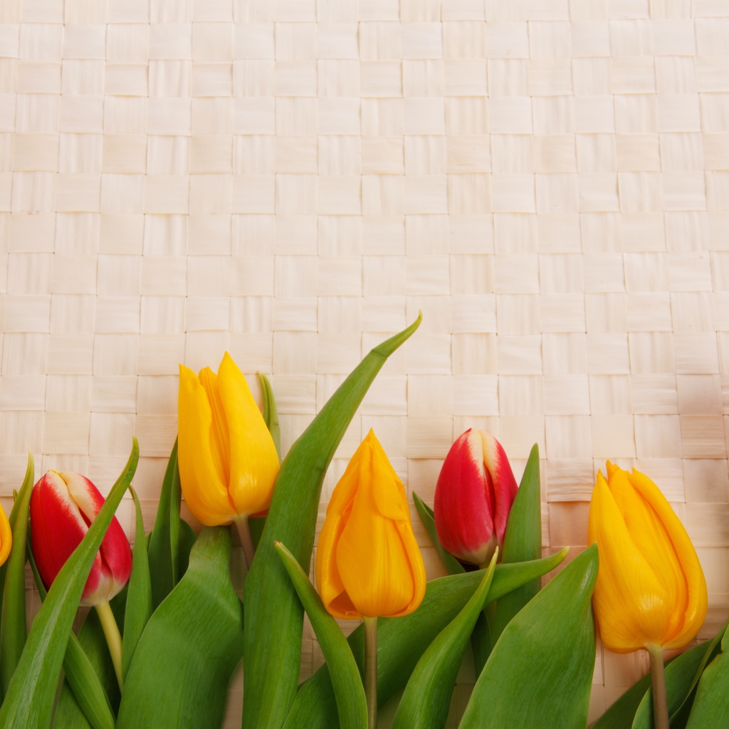 Желтые и красные тюльпаны на плетеном фоне