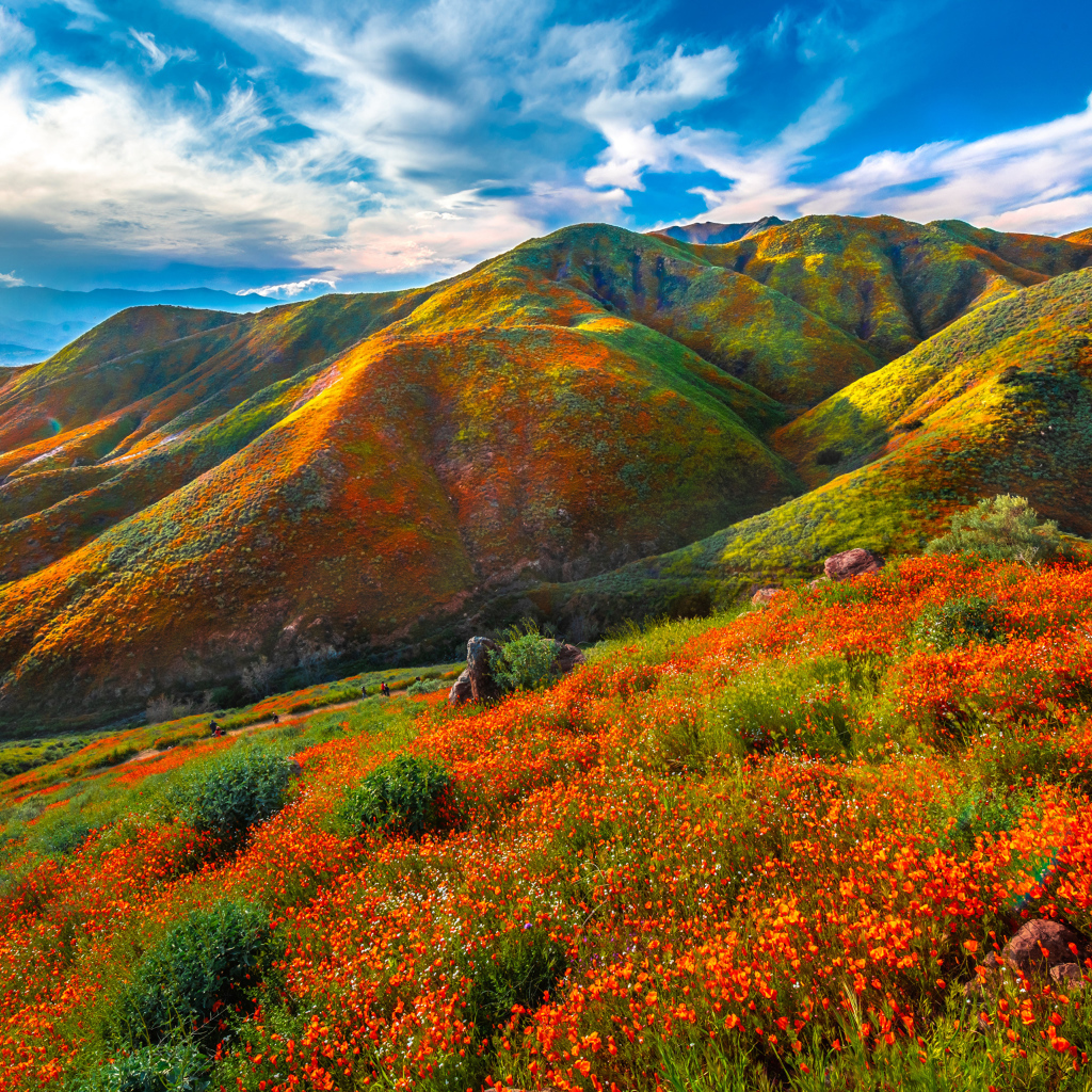 Красивая разноцветная гора под красивым голубым небом 