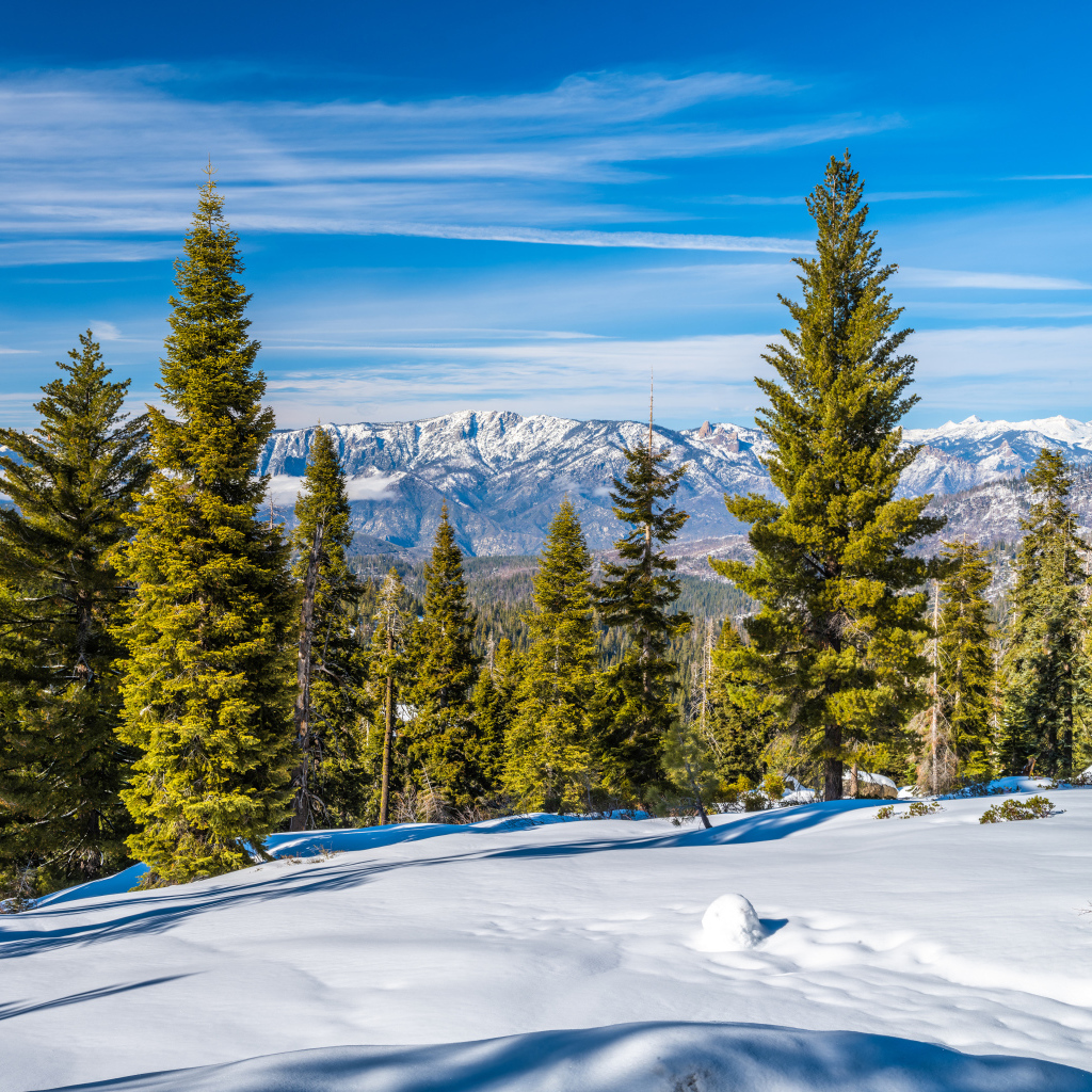 Красивый зимний вид на горы и зеленые ели под голубым небом