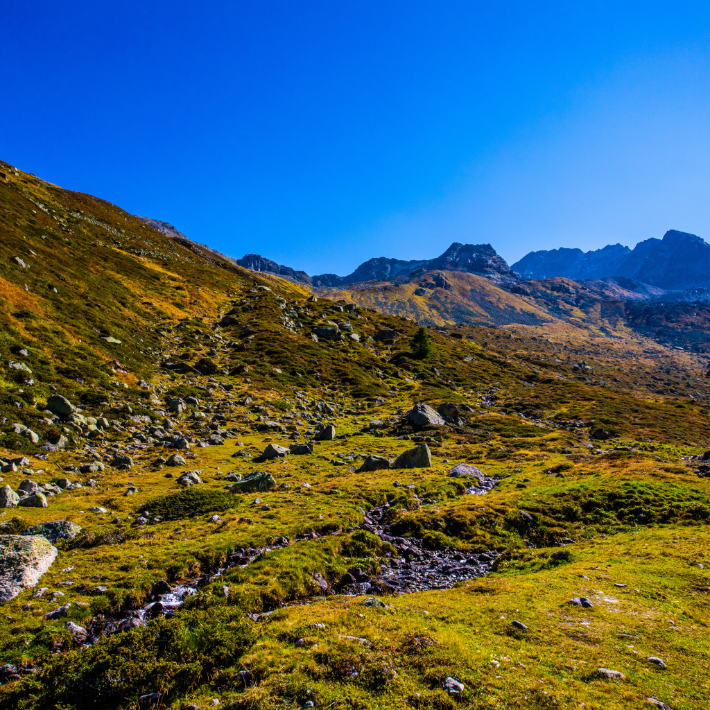 Зеленая трава на склоне горы под голубым небом 