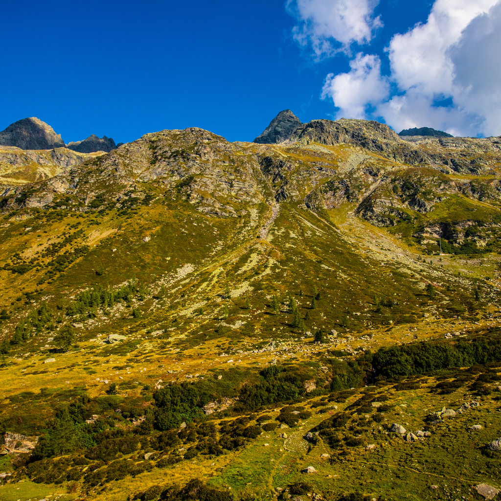 Покрытые зеленью Швейцарские альпы под голубым небом