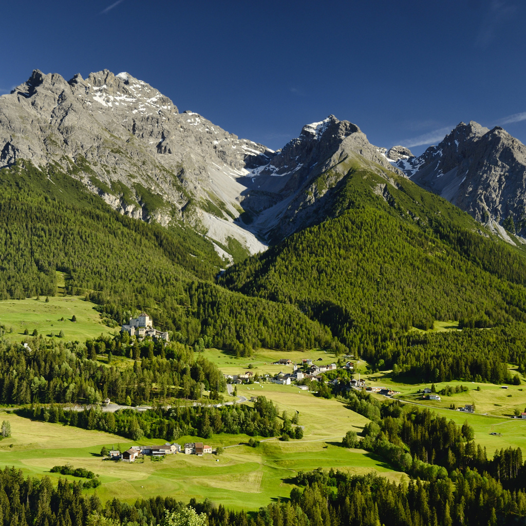 Высокие швейцарские Альпы покрыты зеленью под голубым небом 