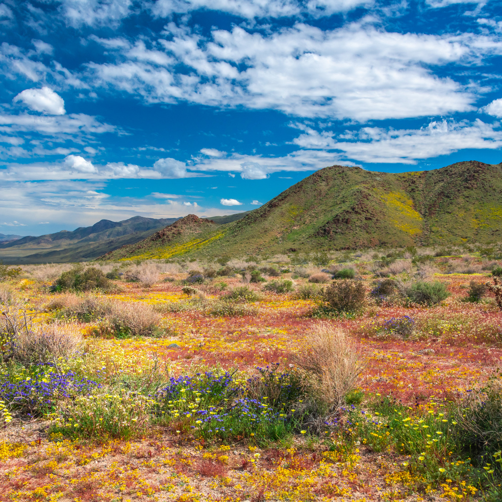 Высокие горы в национальном парке под голубым небом